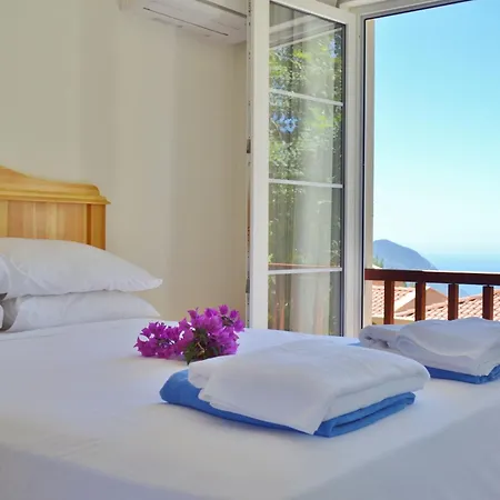 Zeytin Kalkan カシュ